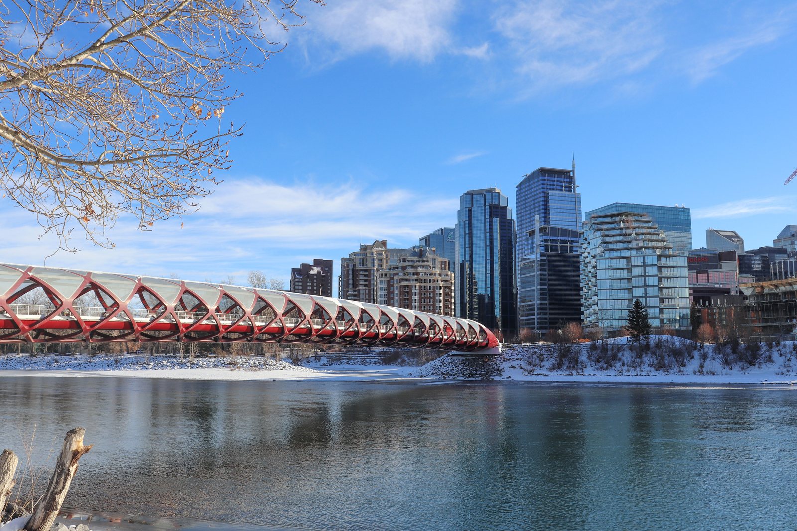 Calgary’s Peace Bridge spanning the Bow River in winter, with downtown buildings behind it